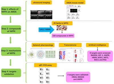 Integrating Network Pharmacology, Transcriptome and Artificial Intelligence for Investigating Into the Effect and Mechanism of Ning Fei Ping Xue Decoction Against the Acute Respiratory Distress Syndrome